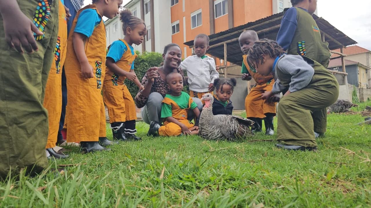 Eco-Bloom kindergarten children gathered around a rabbit during a farm visit